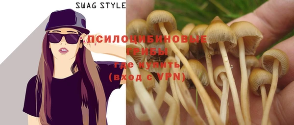 spice Коряжма