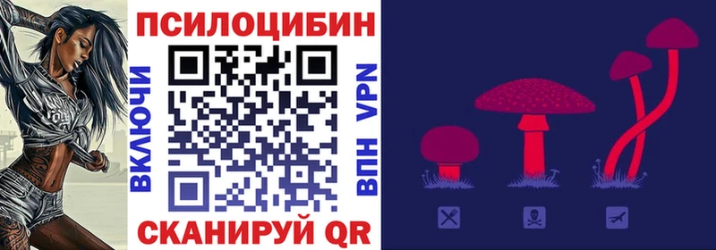 Псилоцибиновые грибы Psilocybine cubensis  Купить  Углич 