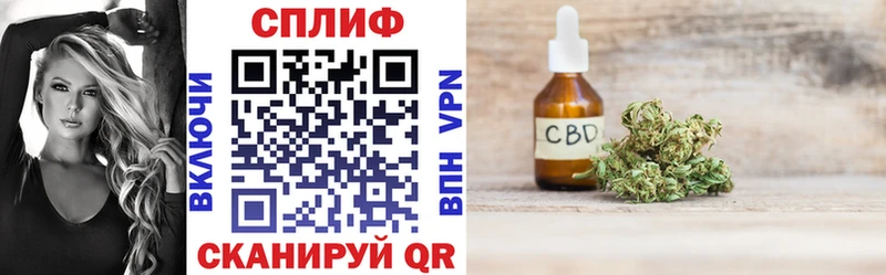 Купить закладки  Углич  Канабис сатива 